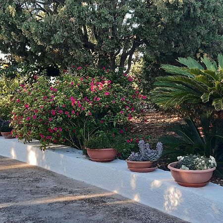 B&B Bell'Aria Monopoli Exteriér fotografie