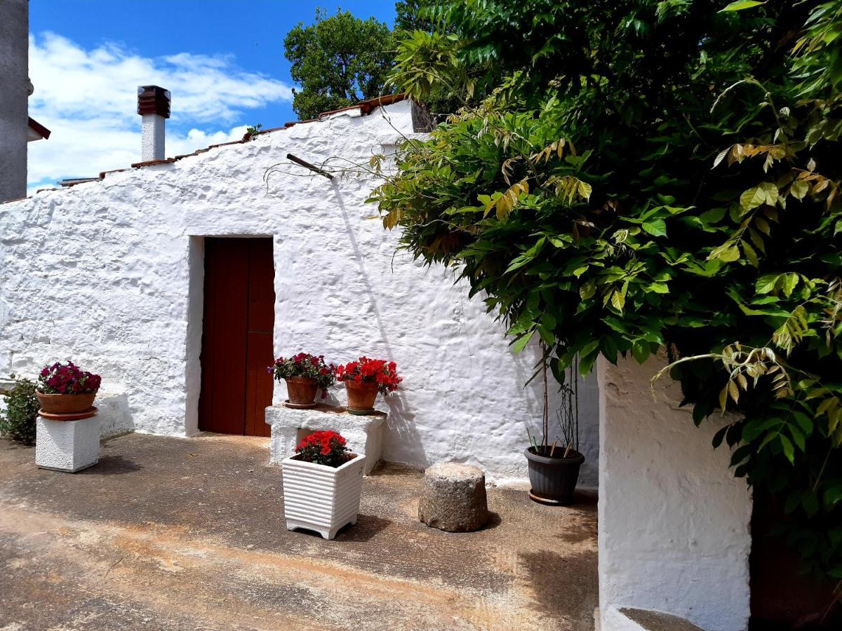 B&B Bell'Aria Monopoli Exteriér fotografie