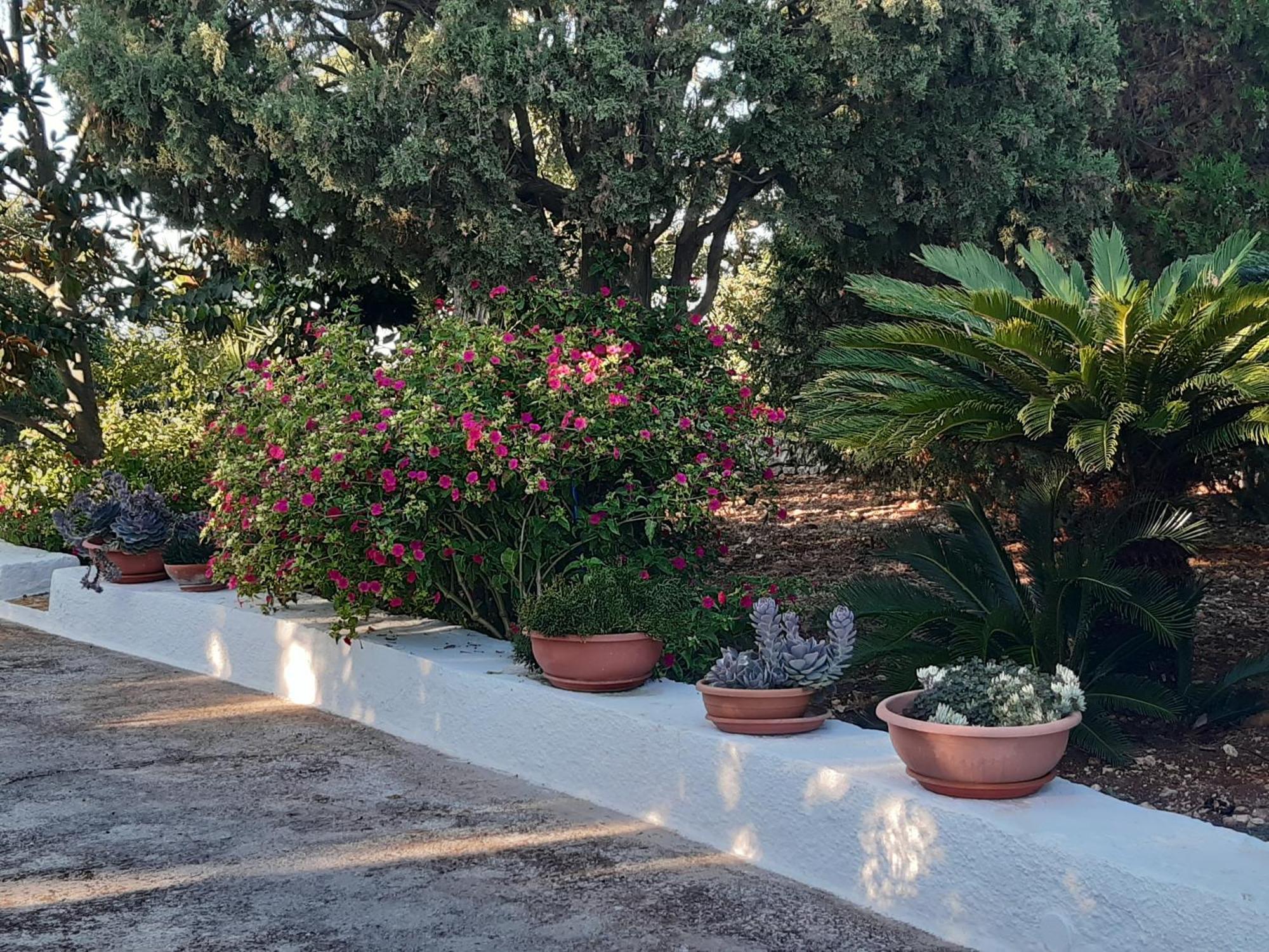 B&B Bell'Aria Monopoli Exteriér fotografie